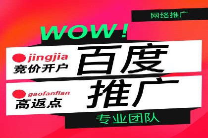 SEM推广代运营：成功案例解析与策略分享